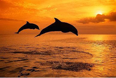 《最终幻想16》下载容量90GB 6月20日开始预载